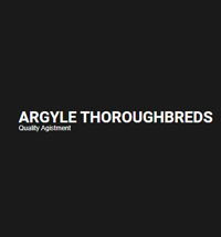 ARGYLE THOROUGHBREDS image