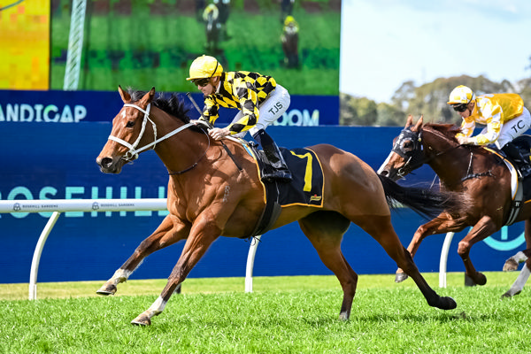 breednet-images-autumn-glow-rosehill-21595