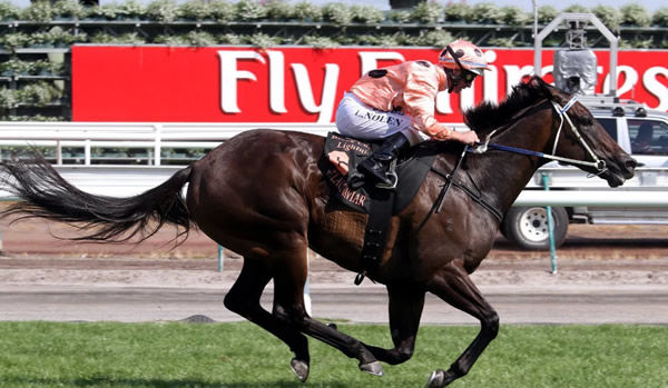 breednet-images-blackcaviar-2573