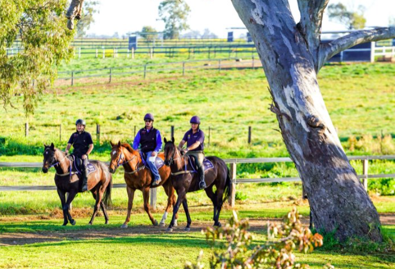 Blair Richardson (right) and his team educating young horses