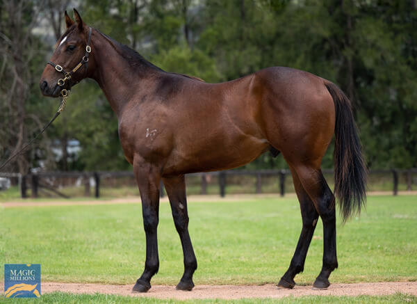 Johnny The Kid Breaks Maiden in Style at Randwick