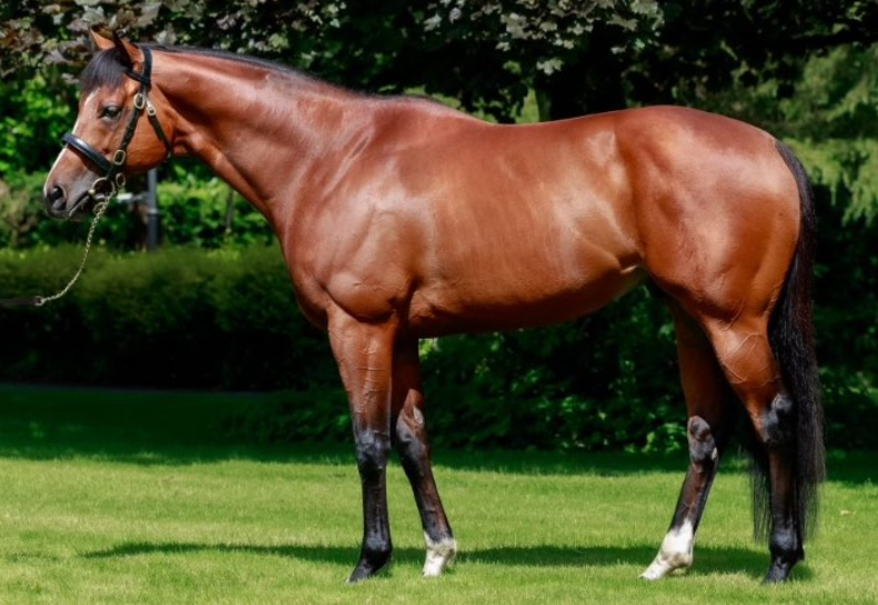 St Mark’s Basilica (Fr) | Standing at Coolmore