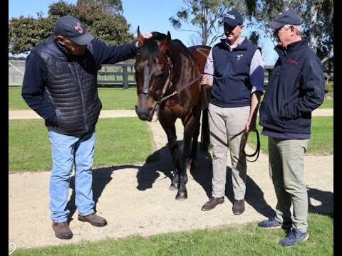 YARRAMAN PARK BRAVE SMASH HELLBENT BRED TO WIN EP 7 2024