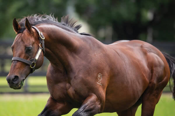 Zoustar had a winning treble at Sha Tin