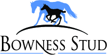 Yearling Prep Stud & Stable Hand Position – Start 27th November 2024