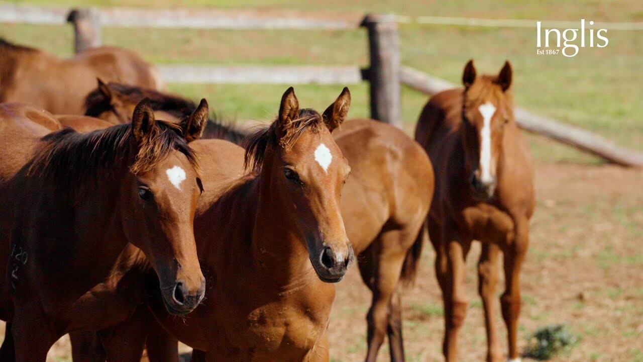 Weaning process