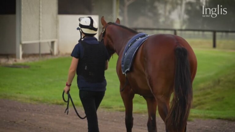 Coolmore Yearling Prep